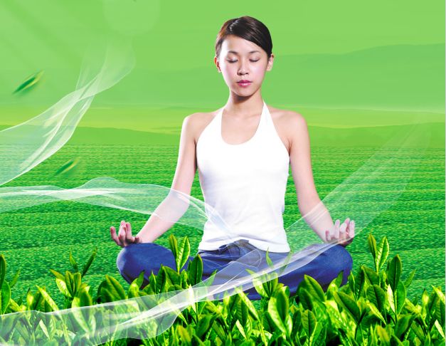 查特菲尔德学院degree